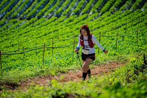 BIB: 
                            <button type="button" onclick="openModal(19163184)" class="btn btn-primary btn-sm float-right btn-popup" data-toggle="modal" data-target=".modal-high-quality">
                        <i class="fas fa-shopping-cart"></i> Add to Cart
                    </button>
                                            <button type="button" onclick="isThisMe(19163184, true)" class="btn btn-success btn-sm float-right btn-popup btn-isme hidden" data-toggle="tooltip" data-placement="bottom" title="นี่คือรูปของคุณใช่ไหม คลิกที่นี่เพื่อเอาเข้าอัลบั้ม">
                        <i class="fas fa-plus"></i> Add to album
                    </button>
                    <button type="button" onclick="isThisMe(19163184, false)" class="btn btn-warning btn-sm float-right btn-popup btn-isnotme hidden">
                        <i class="fas fa-ban"></i> Remove from album
                    </button>